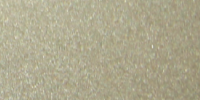 Metallic-Champagne-200x100