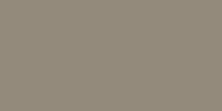 Taupe-200x100