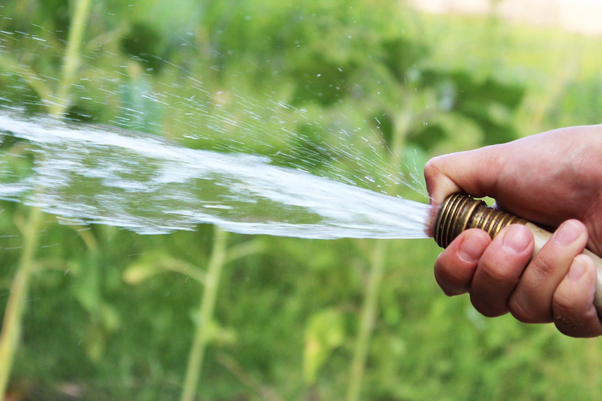 Garden Hose and water